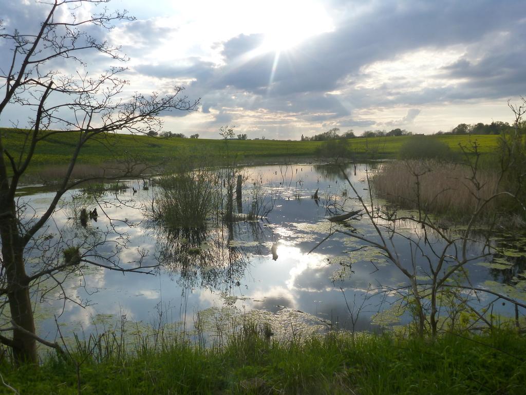 Das Haus Am Teich Gross Grabow Экстерьер фото